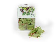 Mynd Red Chard 125 gr.