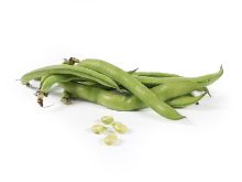 Mynd Broad beans (Bóndabaunir) 5,5 kg.              