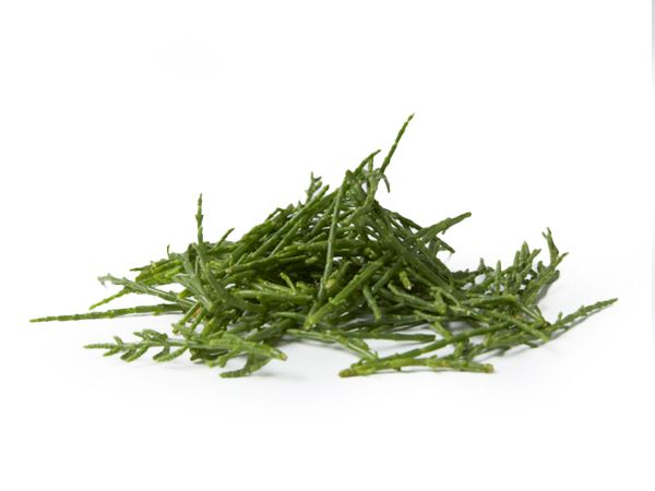Mynd Sjávargras/Samphire 1 Kg